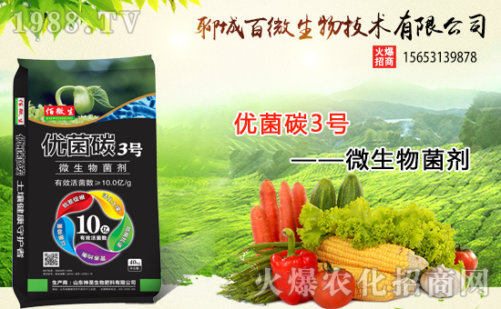 �������x���������ĳǰ�΢���m(x��)ǰ�����y���r���W����(chu��ng)���x����