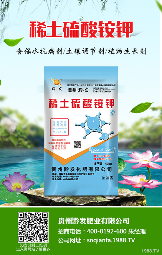 萵苣什么時候種植？萵苣高產(chǎn)種植方案