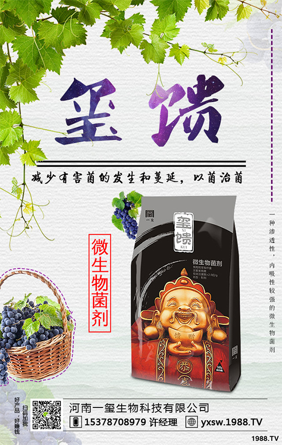     北方怎樣種植藍(lán)莓？種植藍(lán)莓應(yīng)該注意什么？