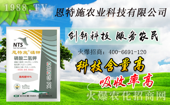 ���r(n��ng)���W(w��ng)ϲӭ���������y�ֶ���ʩ����ؔ(c��i)��֮·