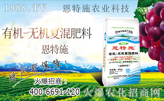 ���r(n��ng)���W(w��ng)ϲӭ�����ѣ��y�ֶ���ʩ����ؔ(c��i)��֮·