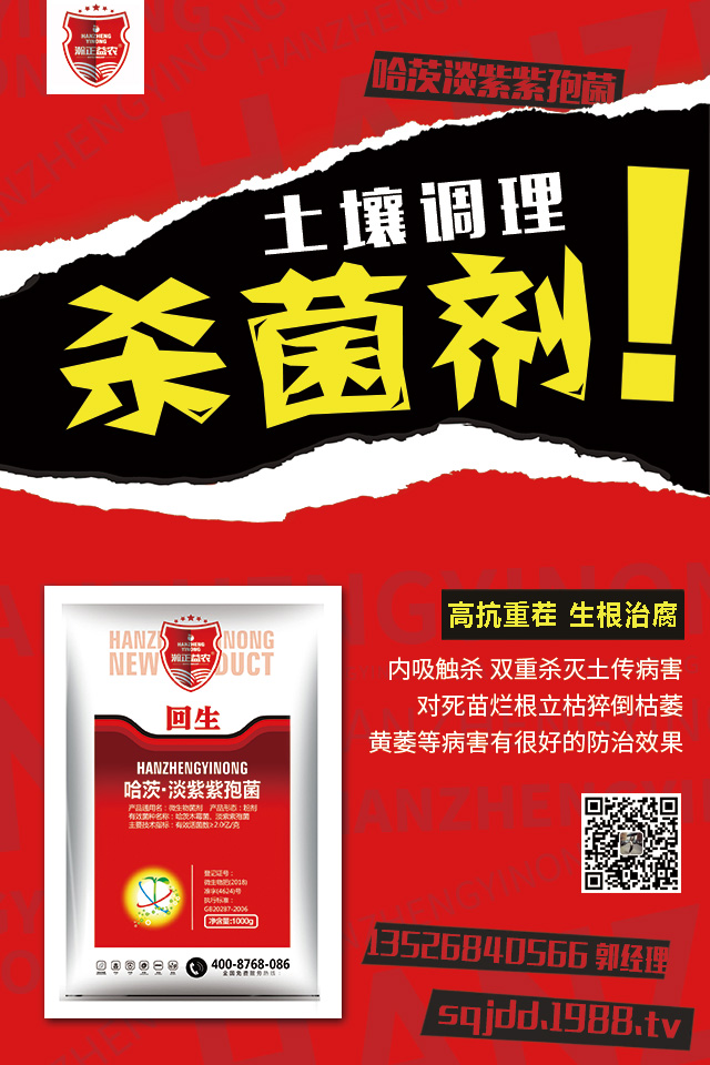 �������߲�Σ�������������߲����μ���