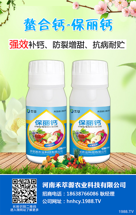 ���[ܛ����Σ���@ô��������ԓ��η��Σ����[ܛ�����İY����η���