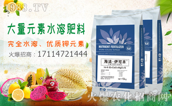 1988.TVϲӭ����������ɫ�к����r(n��ng)�I(y��)��(qi��ng)�݁��u����(sh��)�F(xi��n)��I(y��)�°l(f��)չ��