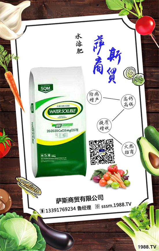 �_˹���Q(m��o)�ٶȔy��1988.TV�������W(w��ng)�j(lu��)�������x����