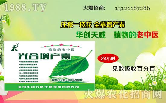 ��(zh��n)�Ժ���������(j��)���A��(chu��ng)��������y��1988.TV�ل�(chu��ng)�x����