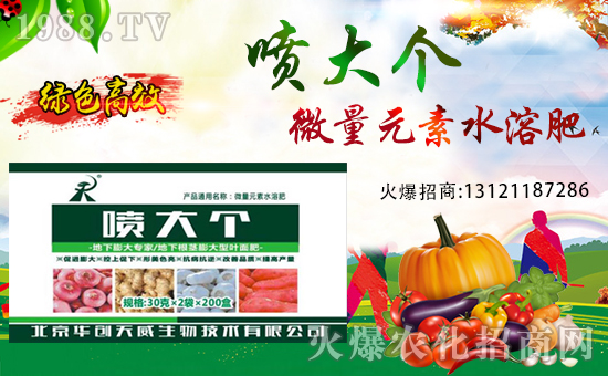 ��(zh��n)�Ժ���������(j��)���A��(chu��ng)��������y��1988.TV�ل�(chu��ng)�x�ͣ�