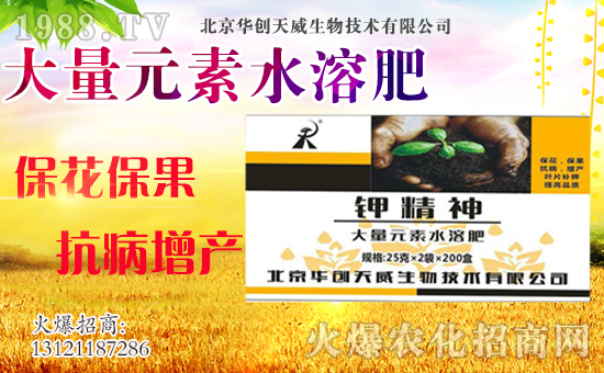 ��(zh��n)�Ժ���������(j��)���A��(chu��ng)��������y��1988.TV�ل�(chu��ng)�x����