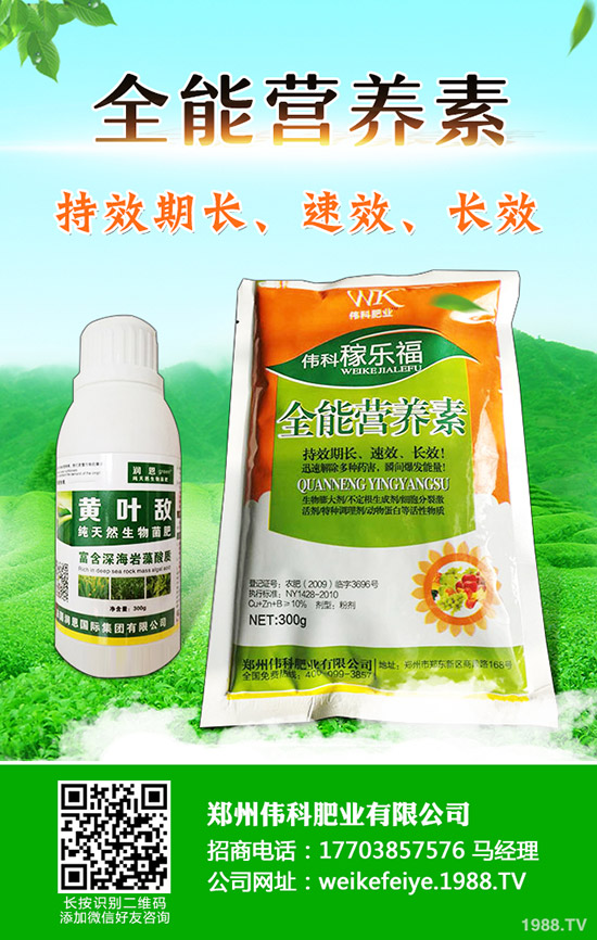 ���Ә�(sh��)��ô�޽ӣ����Ә�(sh��)�޽ӕr(sh��)�g�ͷ�����