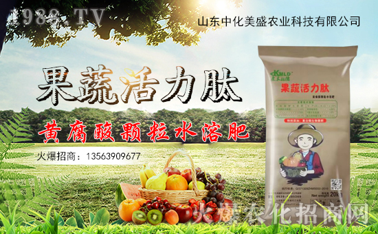 �л���ʢ���v���r(n��ng)���W(w��ng)���_���W(w��ng)�j(lu��)������������