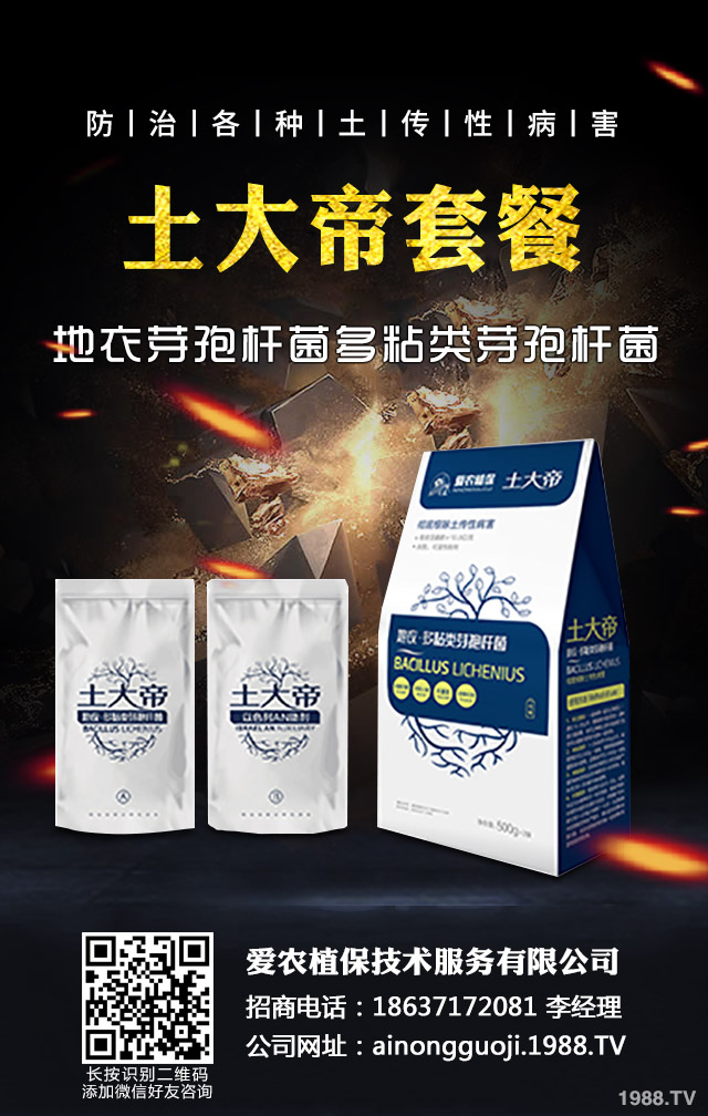 �ﲥС����ô����|(zh��)�����ﲥС������|(zh��)����Ҫ�c(di��n)