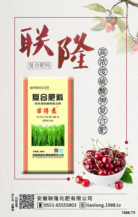 安徽聯(lián)隆化肥有限公司-(3)