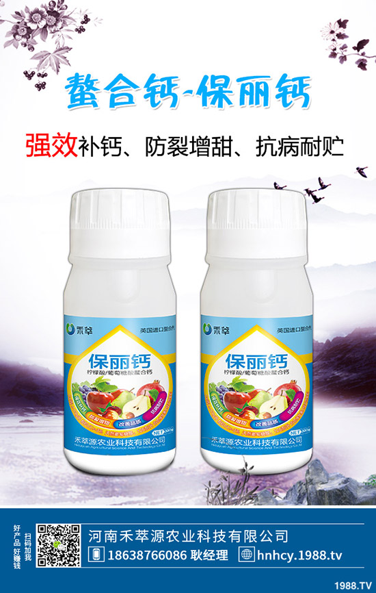 木耳菜怎么種，木耳菜種植時(shí)間和種植方法！