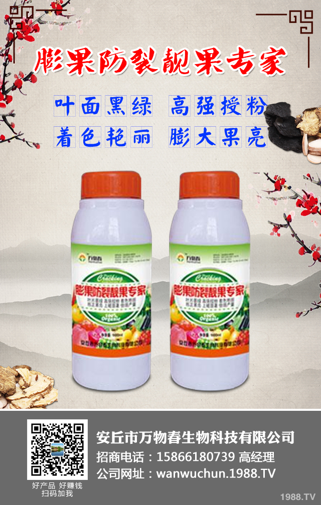 ����A(y��)����ݮ��������ݮ���η��μ���