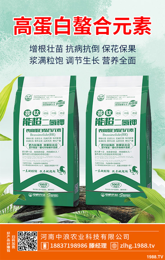 露地卷心菜什么時(shí)候種植？露地卷心菜種植技術(shù)大全