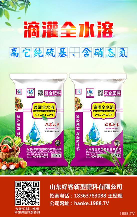 ������ӹ�������ϸ�Ч����������