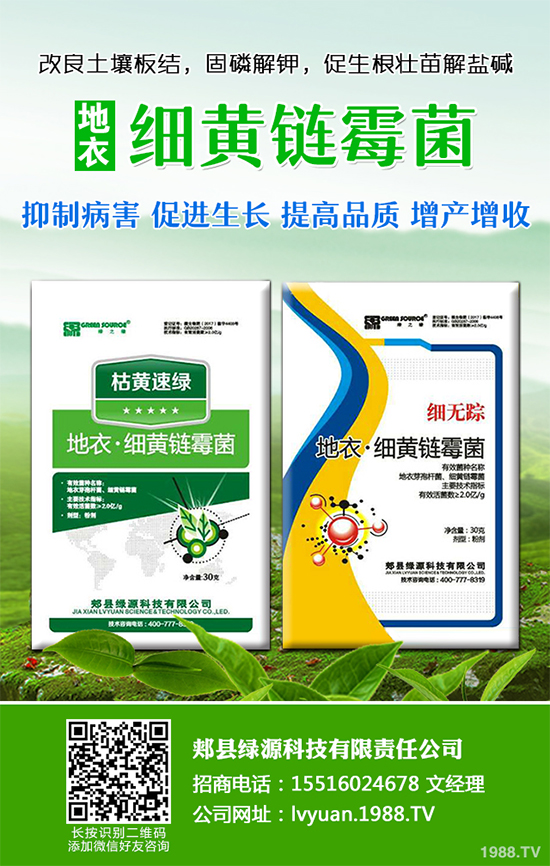 ���·Nʲô�߲˱��^����2019��9���߲˷Nֲָ��