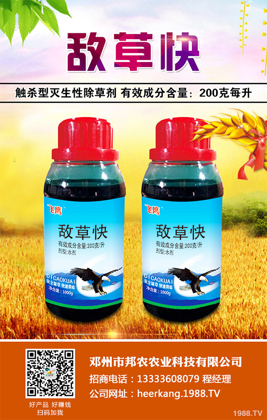 ��(gu��)�Q����2023����ȫ����òݸ�� �ݶ��������ؿƌW(xu��)�C��(j��)