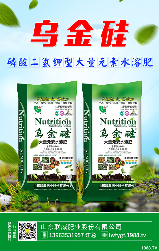     2019��9������һ�@�r(ji��)�������߄�(sh��)����