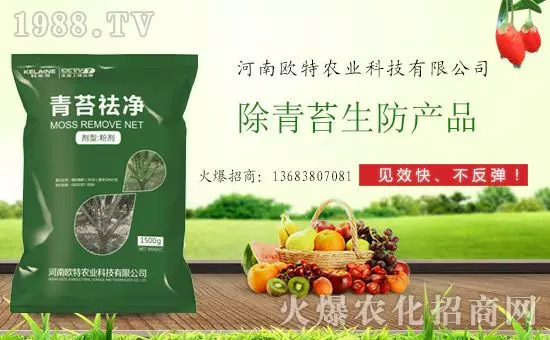 神奇除青苔劑！，不反彈！干凈，青苔無蹤！