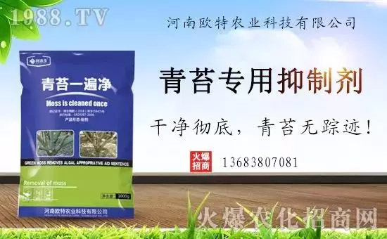 神奇除青苔劑！，不反彈！干凈，青苔無蹤！