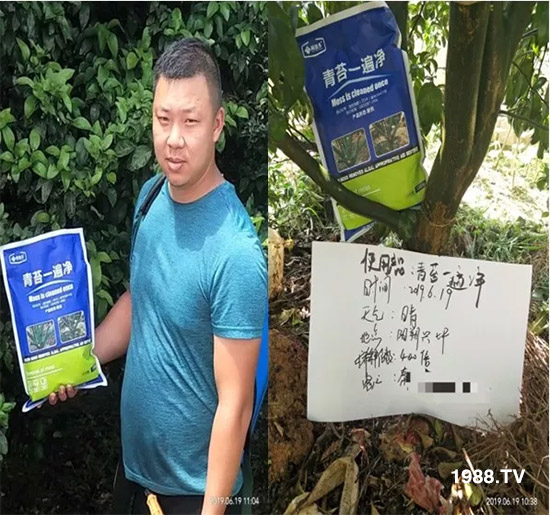 神奇除青苔劑！，不反彈！干凈，青苔無蹤！