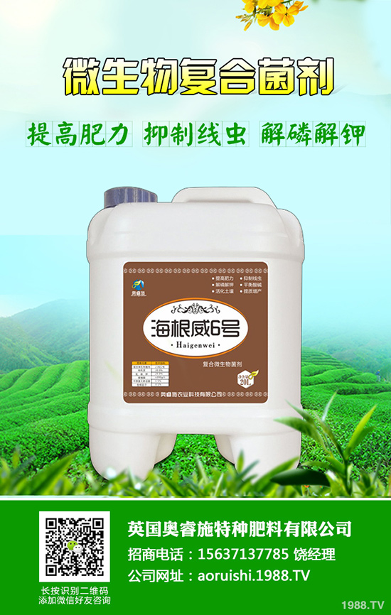 柚子種植技術(shù)！柚子栽種要注意些什么？