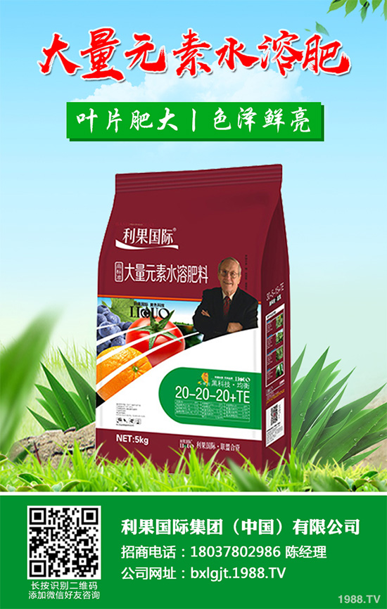     芹菜斑枯病有哪些危害癥狀？芹菜斑枯病的危害及防治