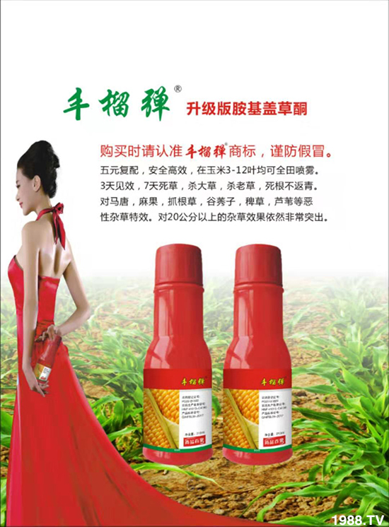 �����ϼ�������ף�����������ͥ���M���f��������