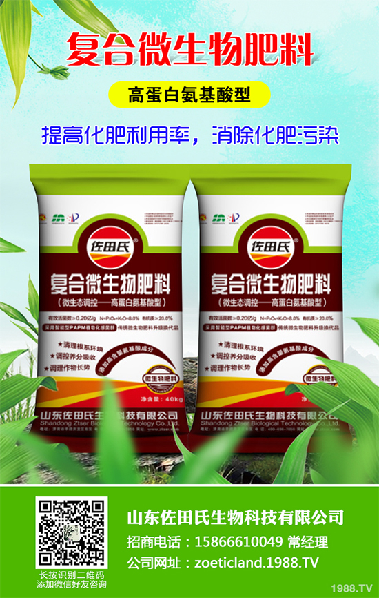 �۲����߲�