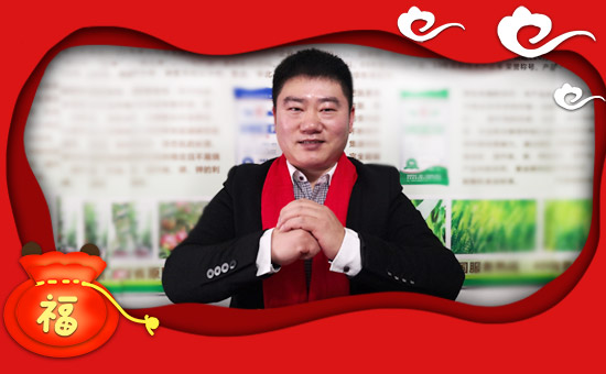 ����������ϡ�ף������µ�һ�������w���������������