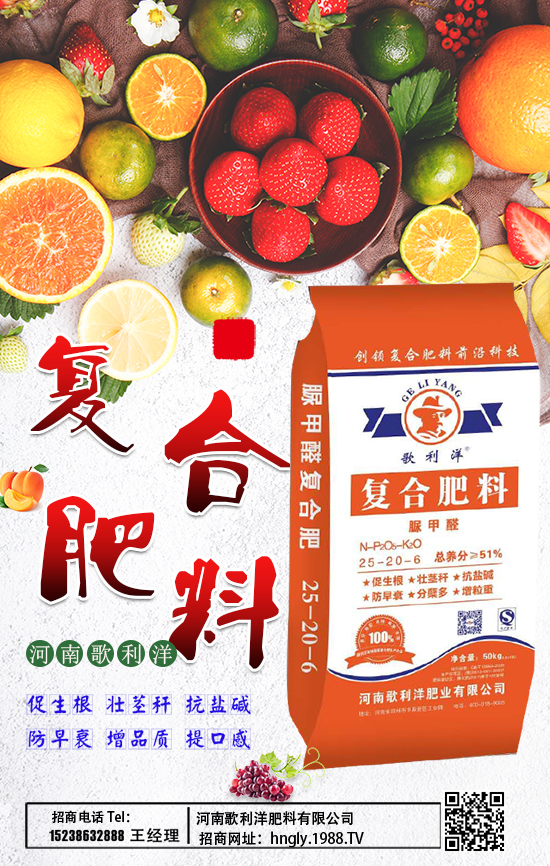 ����������ϡ�ף������µ�һ�������w���������������