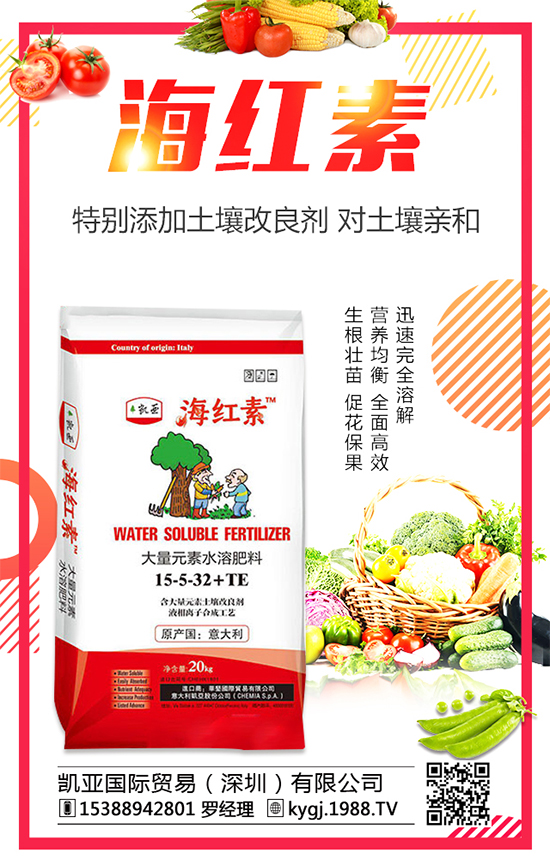 ʯ���(sh��)�����_(k��i)���Y(ji��)����ʯ���(sh��)ֻ�_(k��i)�����Y(ji��)����ԭ��