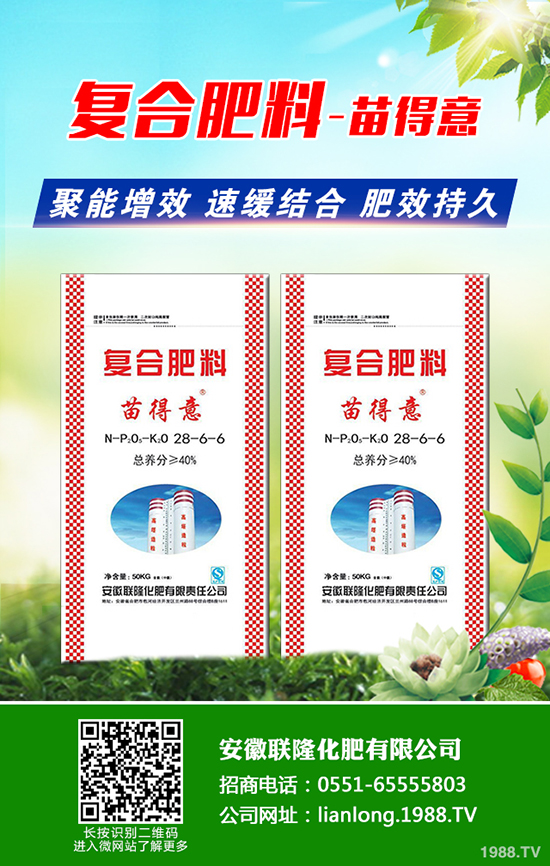 種植黑老虎賺錢嗎？種植前景及市場(chǎng)行情如何？一畝田投入成本多少？