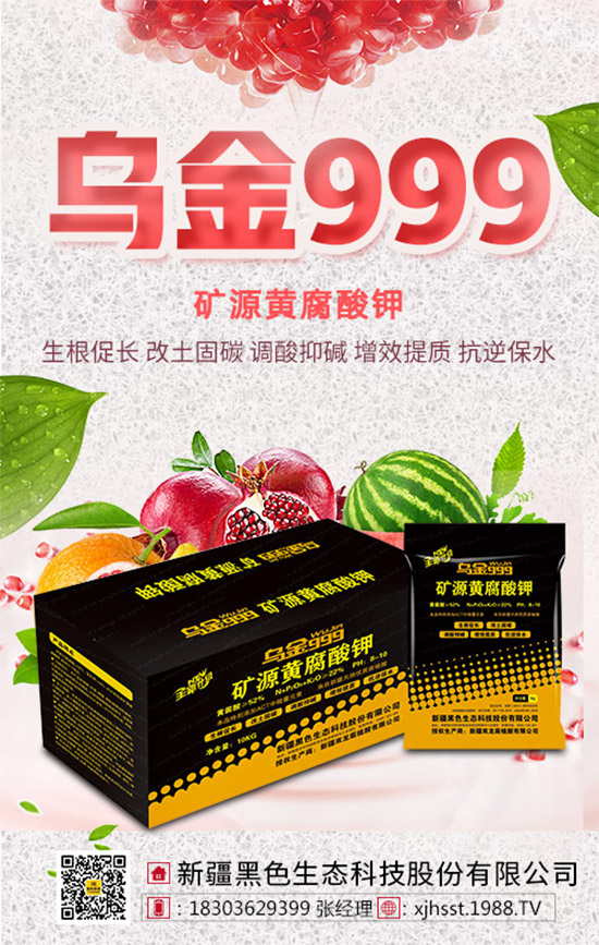 ���½���ɫ���B(t��i)��ȫ�w�T����ף�������ѣ�����옷���f��������ҹҹ�����X��