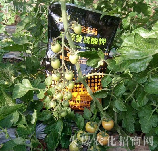 ���½���ɫ���B(t��i)��ȫ�w�T����ף�������ѣ�����옷���f�����⣡ҹҹ�����X��