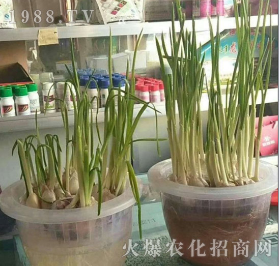 ���½���ɫ���B(t��i)��ȫ�w�T����ף�������ѣ�����옷���f�����⣡ҹҹ�����X��