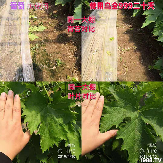 ���½���ɫ���B(t��i)��ȫ�w�T����ף�������ѣ�����옷���f��������ҹҹ�����X��