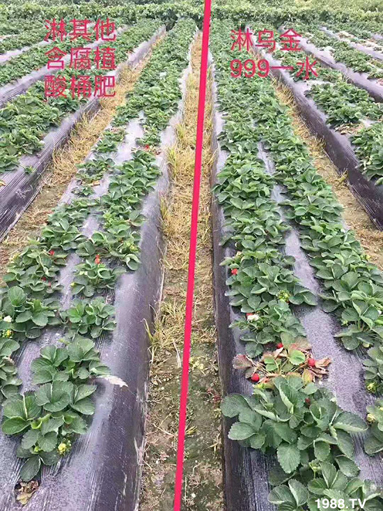 ���½���ɫ���B(t��i)��ȫ�w�T����ף�������ѣ�����옷���f�����⣡ҹҹ�����X��