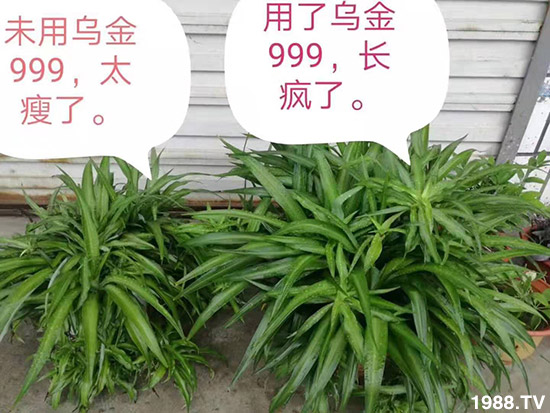 ���½���ɫ���B(t��i)��ȫ�w�T����ף�������ѣ�����옷���f��������ҹҹ�����X��