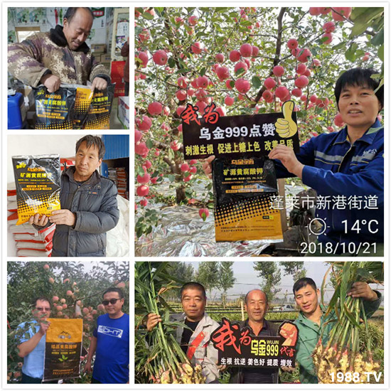 ���½���ɫ���B(t��i)��ȫ�w�T����ף�������ѣ�����옷���f��������ҹҹ�����X��