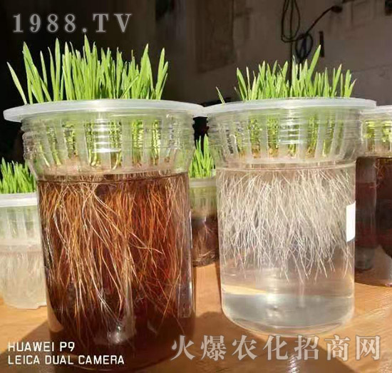 ���½���ɫ���B(t��i)��ȫ�w�T����ף�������ѣ�����옷���f��������ҹҹ�����X��