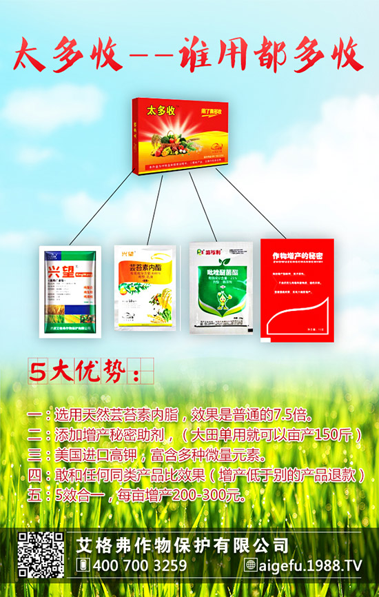 ���۵ķNֲҪ������Щ�����۵ķNֲҪ�c(di��n)��