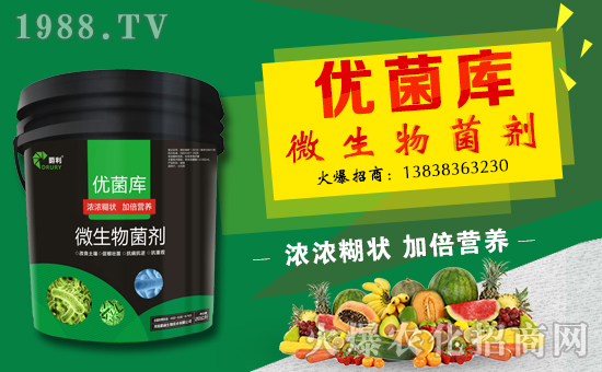 ���������ף������µ�һ���﹤�����������������