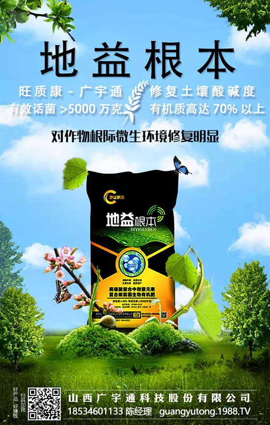 檳榔想豐收，規(guī)范施肥不能少，用過以后喜上眉梢！