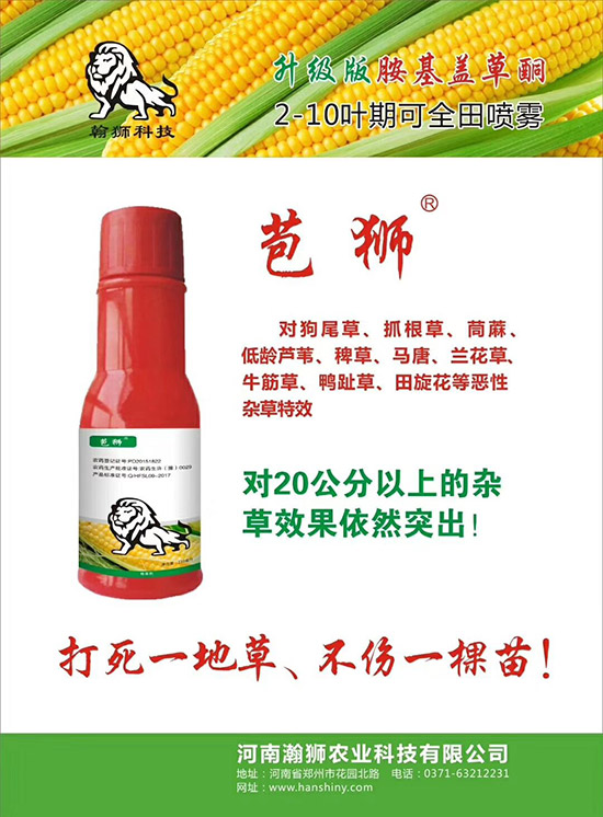 ������嫪{�r�I(y��)��ףȫ���r�Y���N�����т�2020����옷����ϲ�l(f��)ؔ��