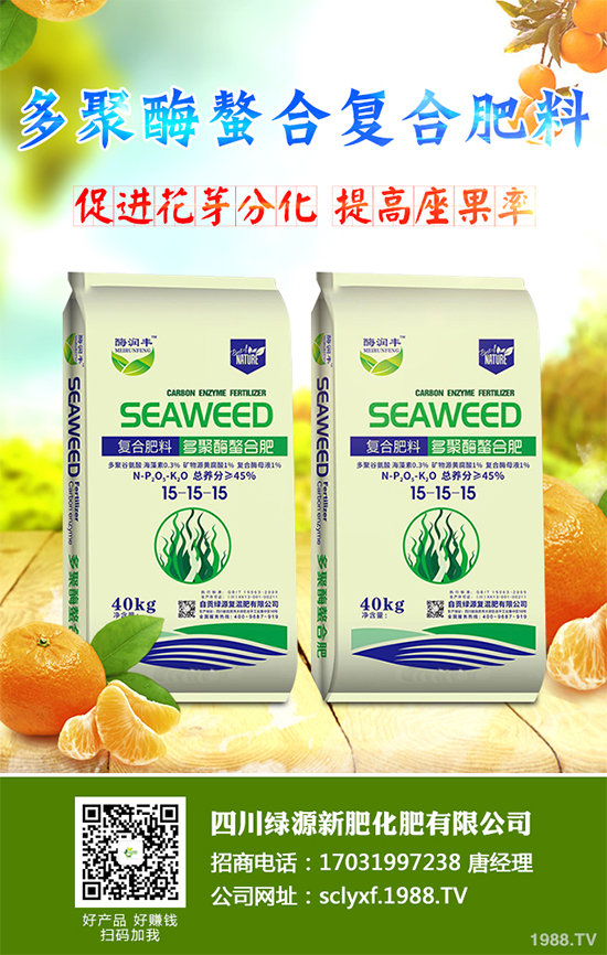 冬季南瓜該如何種植？反季南瓜大棚種植技術(shù)