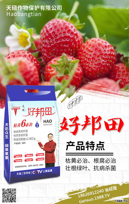 冬季南瓜該如何種植？反季南瓜大棚種植技術(shù)