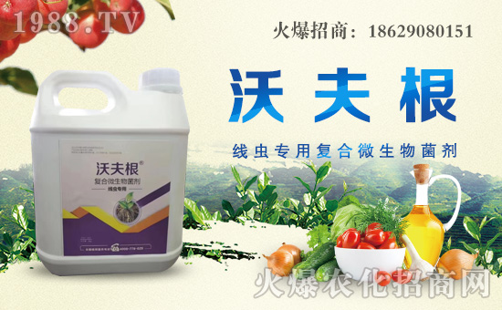 ��������ȫ�w�T��ף������µ�һ���������³����H�Қg����