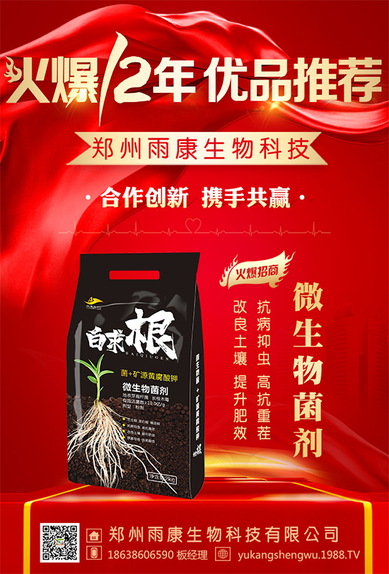 �������꿵�����ף�������옷���f�´����ϼҚg����